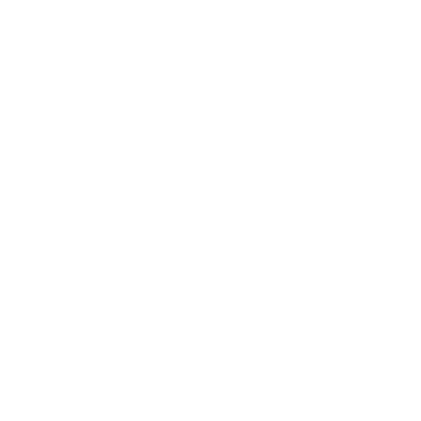 Le renforcement des capacités de financement